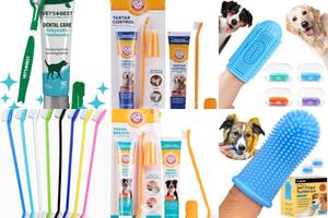 5 Best Dog Toothbrushes: A Complete Guide