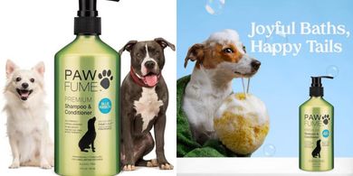 Hypoallergenic Pawfume Probiotic Dog Shampoo & Conditioner (Blue Ribbon)
