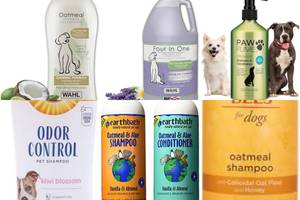 Top 5 Dog Shampoos: The Ultimate Guide