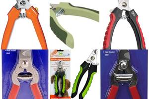 Best Stainless Steel Dog Nail Clippers: Top 5 Picks