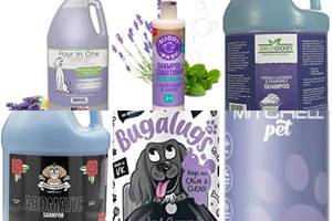 5 Best Lavender Dog Shampoos