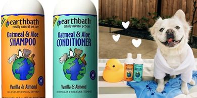 Earthbath Oatmeal & Aloe Dog Shampoo & Conditioner (16 oz)
