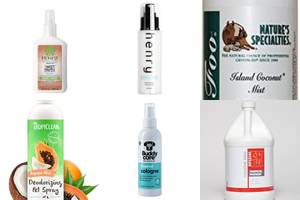 5 Best-Smelling Tropical Dog Colognes