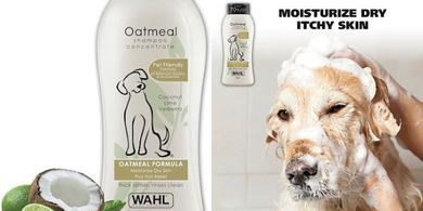 Wahl Oatmeal & Coconut Lime Pet Shampoo for Dogs (24 oz)
