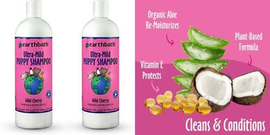 Earthbath Wild Cherry Puppy Shampoo (2-pack, 16oz): Extra gentle, tearless, deodorizing.
