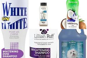 5 Best Whitening Dog Shampoos for a Sparkling Clean Coat