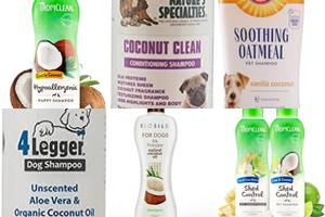 Top 5 Coconut Dog Shampoos for a Shiny, Healthy Coat