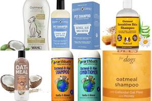 Best Oatmeal Dog Shampoos: Top 5 Picks