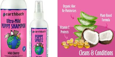 Earthbath Wild Cherry Puppy Shampoo & Spritz: Tearless, Gentle, Cruelty-Free
