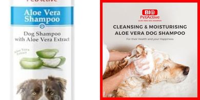 Bio PetActive Aloe Vera Shampoo: Gentle, Moisturizing Dog Wash
