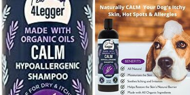 Calm Lavender Organic Dog Shampoo for Dry, Itchy Skin
