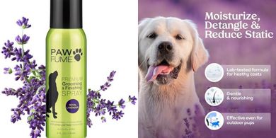 PAWFUME Premium Lavender Dog Grooming Spray: Long-lasting Deodorizer
