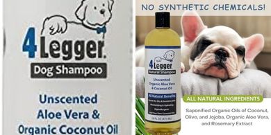 Organic Coconut Puppy Shampoo: Hypoallergenic, Fragrance-Free, Soothing Relief
