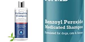 Best Dog Shampoos for Folliculitis