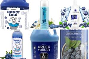 The Best Blueberry Dog Shampoos: Top 5 Picks