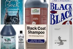 5 Best Black Dog Shampoos for a Stunning Shine