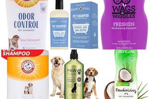 Banish Dog Odor: 5 Best Shampoos for Smelly Dogs