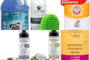 Best Waterless Dog Shampoos for a Fresh & Clean Pet