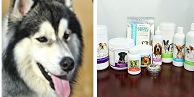 Siberian Husky Oatmeal & Aloe Shampoo (16 oz)