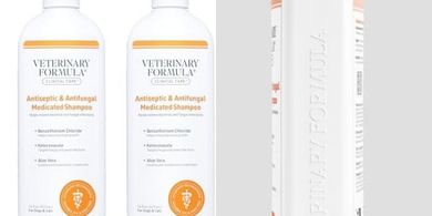 Veterinary Clinical Care Shampoo for Pets (2-pack): Antiseptic, Antifungal, Paraben & Dye-Free
