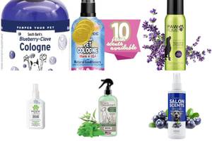 Top 5 Dog Colognes: A Buyer's Guide