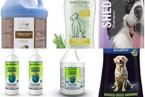 Top 5 Shed Control Dog Shampoos for Less Shedding