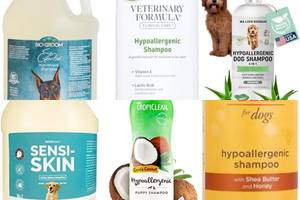 5 Best Hypoallergenic Dog Shampoos for Sensitive Skin