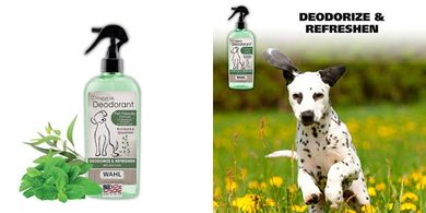 Wahl Pet Deodorant: Eucalyptus & Spearmint
