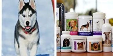 Siberian Husky Puppy Tearless Shampoo (16 oz)