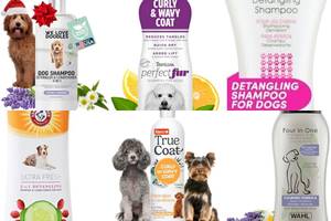 Top 5 Detangling Dog Shampoos for Easy Brushing