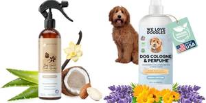 4 Amazing Organic Dog Colognes You'll Love