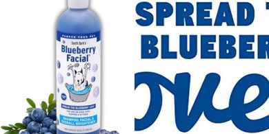 South Bark Blueberry Facial Pet Shampoo: Brightening, Tear Stain & Odor Remover
