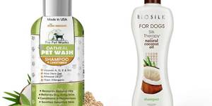 Top 4 Paraben-Free Dog Shampoos: A Buyer's Guide