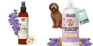 3 Amazing Herbal Dog Colognes to Pamper Your Pup