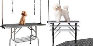 Go Pet Club Dog Grooming Table: Top 4 Reviews & Buying Guide