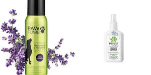 Top 3 Summer Dog Colognes for a Fresh-Smelling Pup