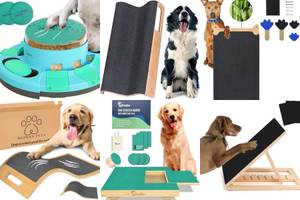 5 Best Dog Scratch Pads for Happy Paws