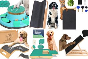 Dog Scratch Pads