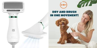 Quiet, Powerful 2-in-1 Pet Hair Dryer & Slicker Brush for Small Animals
