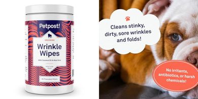 Petpost Bulldog Wrinkle Wipes: Coconut Oil, XL, 60-count