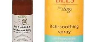 3 Amazing Anti-Itch Dog Colognes to Soothe Your Pup