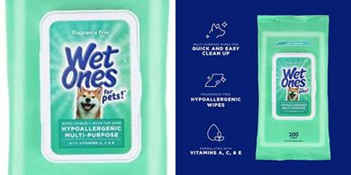 Wet Ones Hypoallergenic Multi-Purpose Dog Wipes (100-count)