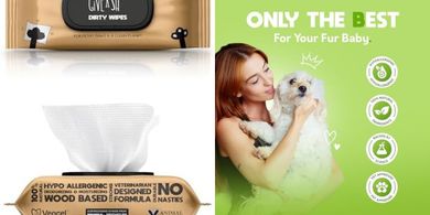 Plant-Based Pet Wipes: Hypoallergenic, Wood-Based, 100 Count

