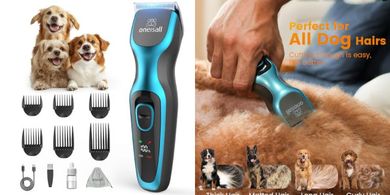 Quiet, Powerful Cordless Dog Clippers with Detachable Blade