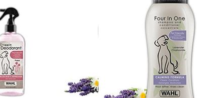 Wahl Cornflower Aloe Pet Deodorant & Calming Shampoo (8 oz/24 oz)