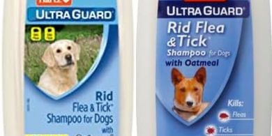 Hartz UltraGuard Oatmeal Dog Shampoo for Fleas & Ticks