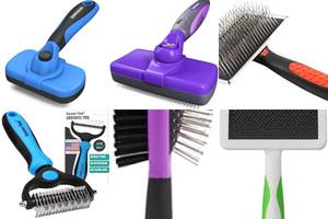 Best 5 Large Dog Brushes for Easy Grooming