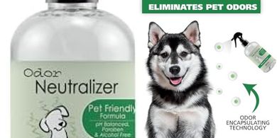 Wahl Scent-Free Pet Odor Neutralizer Spray for Dogs