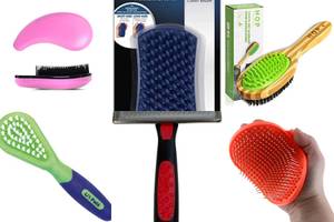 Top 5 Paws & Pals Dog Brushes: Your Ultimate Guide