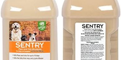 Sentry Oatmeal Flea & Tick Dog Shampoo (Hawaii Ginger, 63.5 oz)